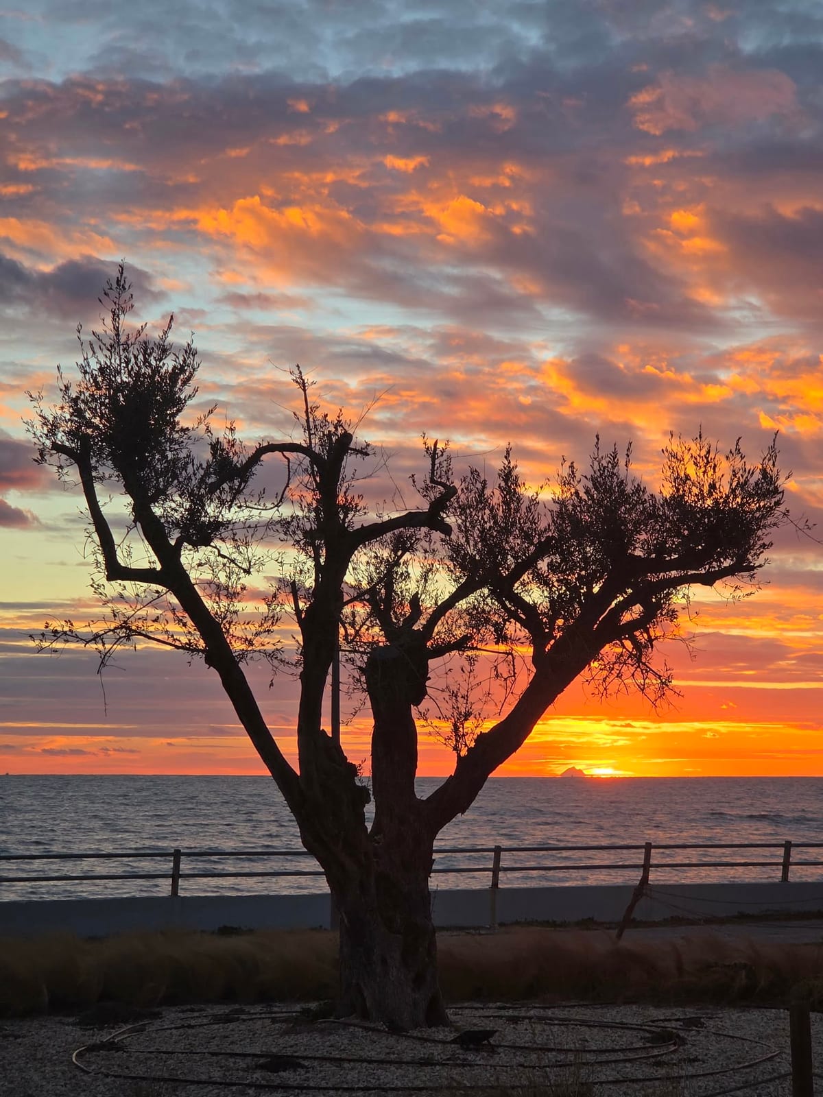 Plaja Nouă din Alexandroupoli (Plaja Farului)