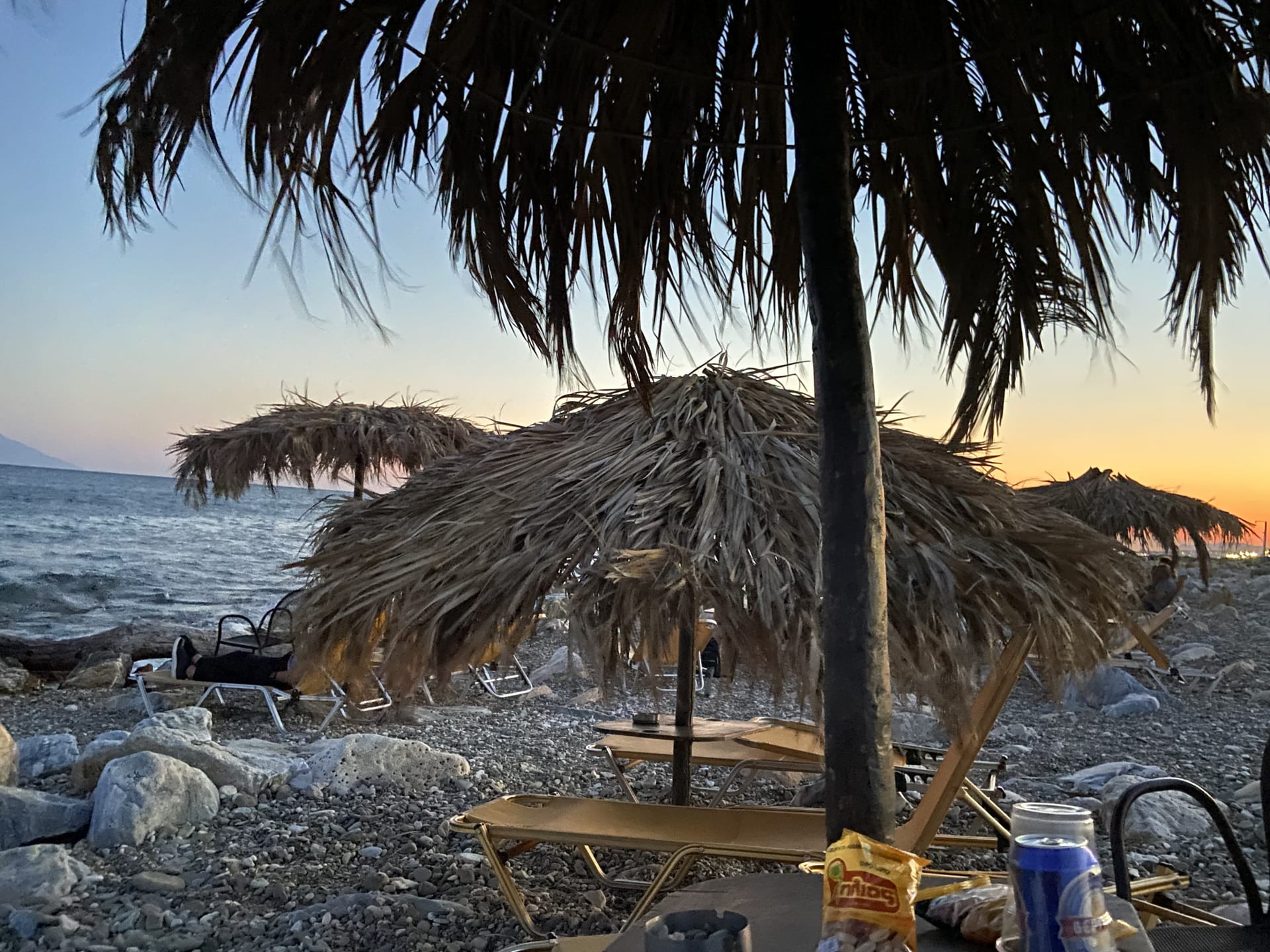 Paloma Beach Bar