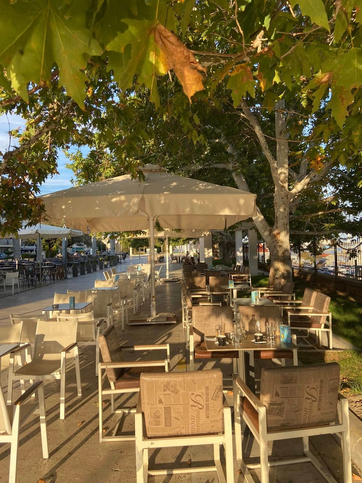Cafe Paradise