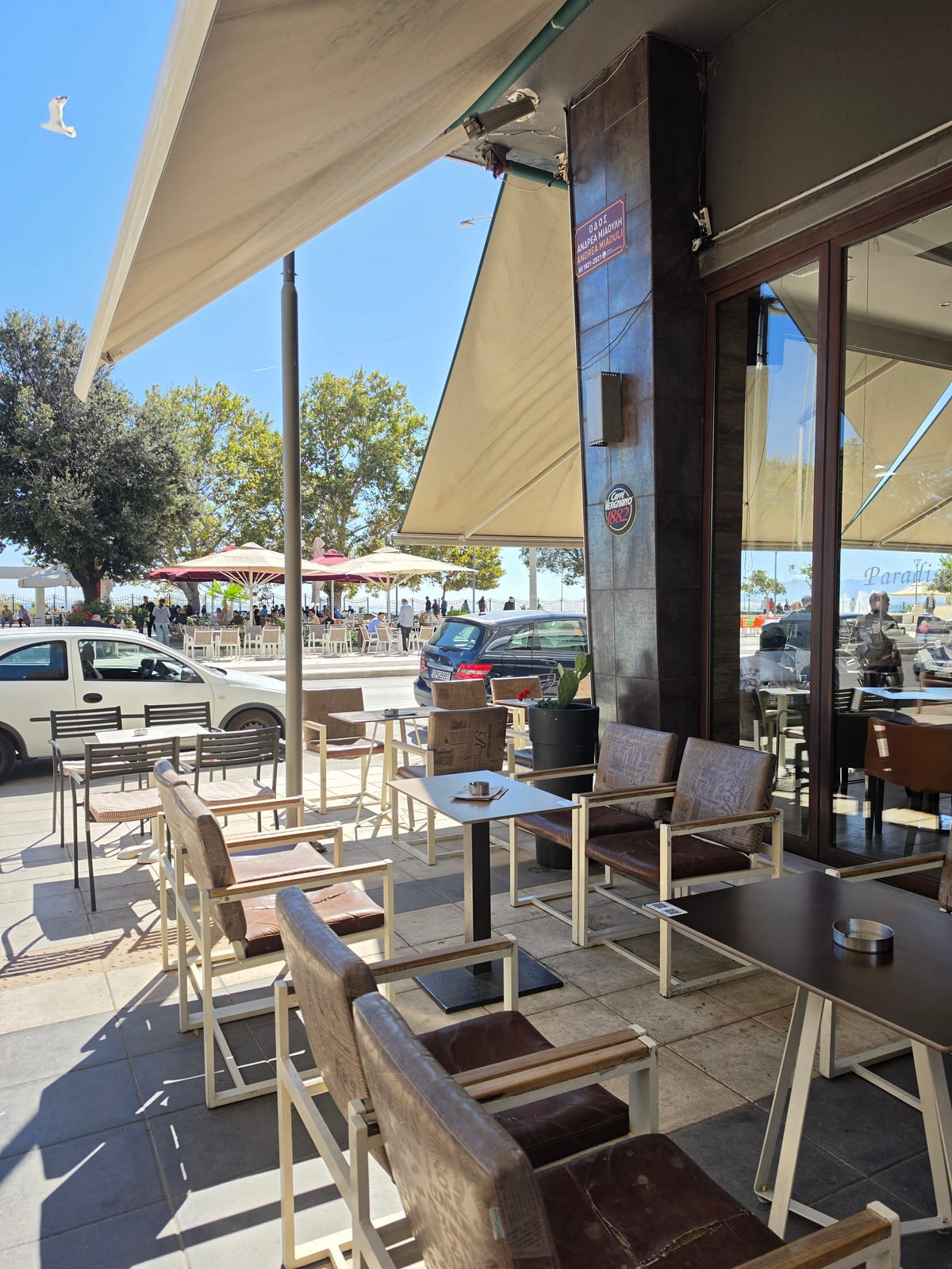 Cafe Paradise