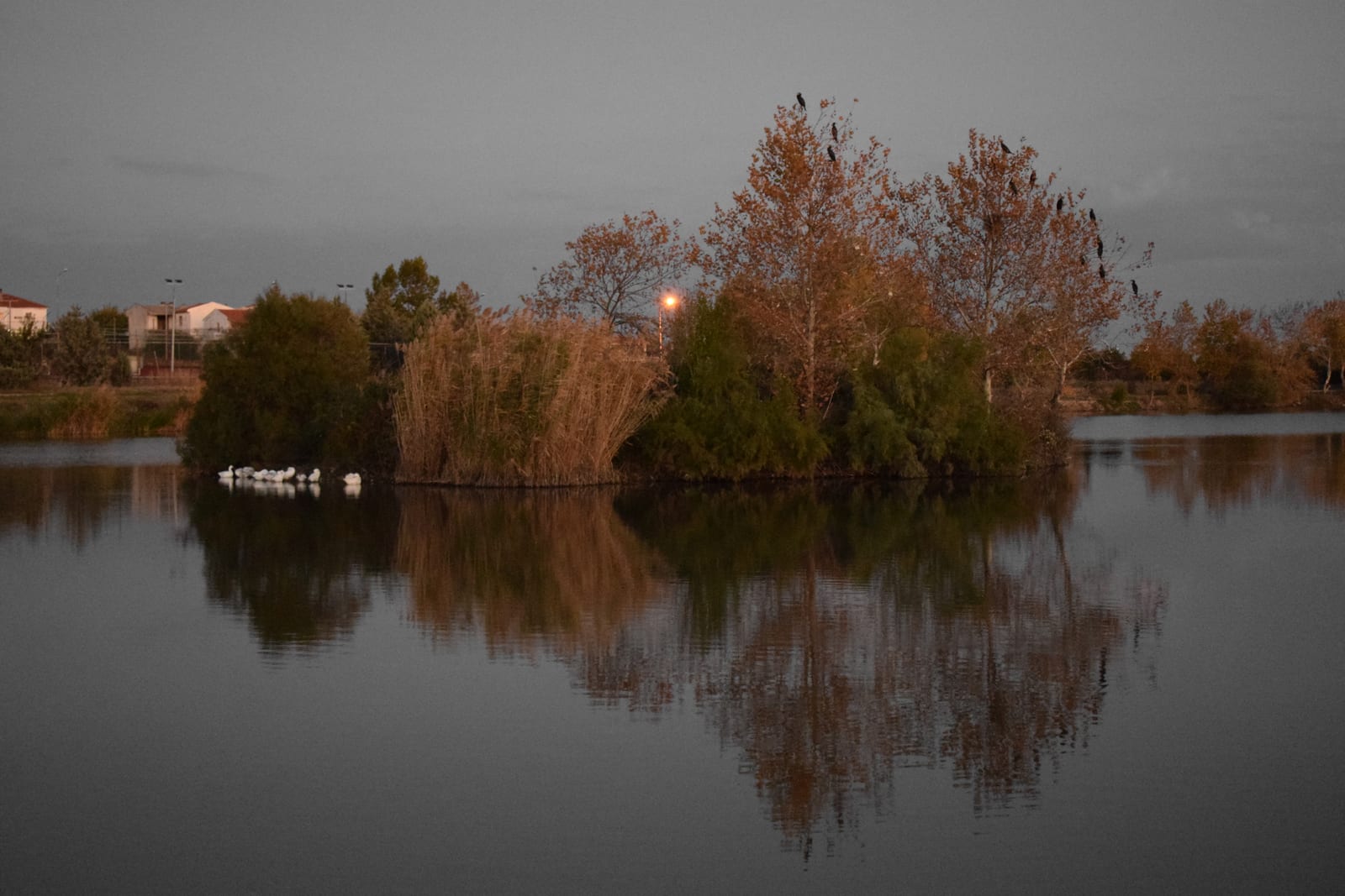 Centrul de Ecoturism și Lacul din Tychero