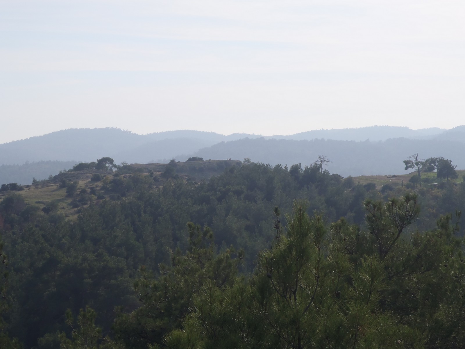 Dadia Birds of Prey Observatory