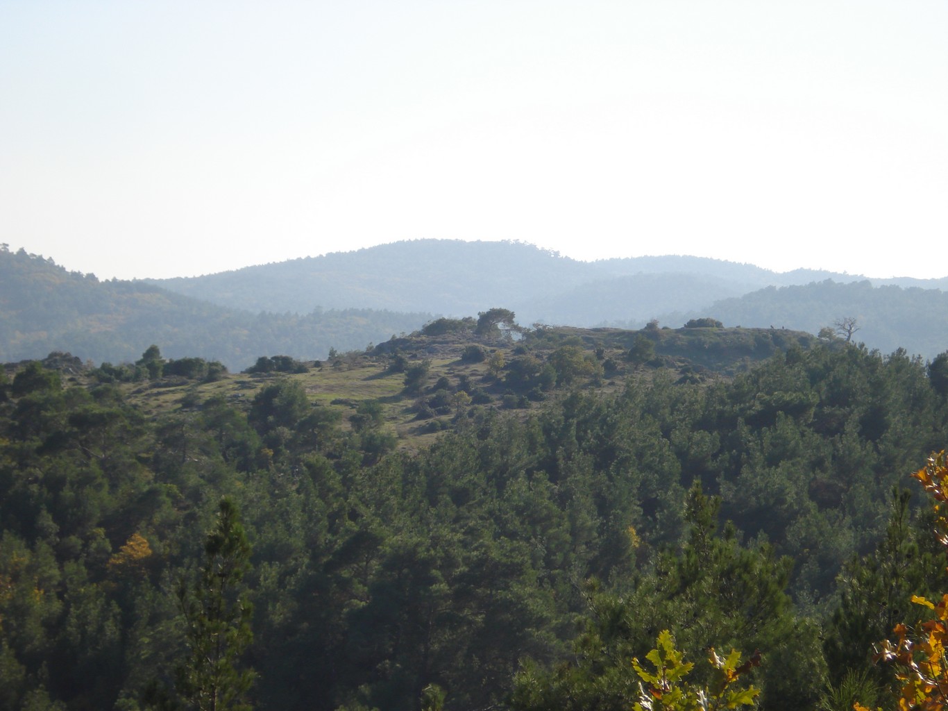 Dadia Birds of Prey Observatory