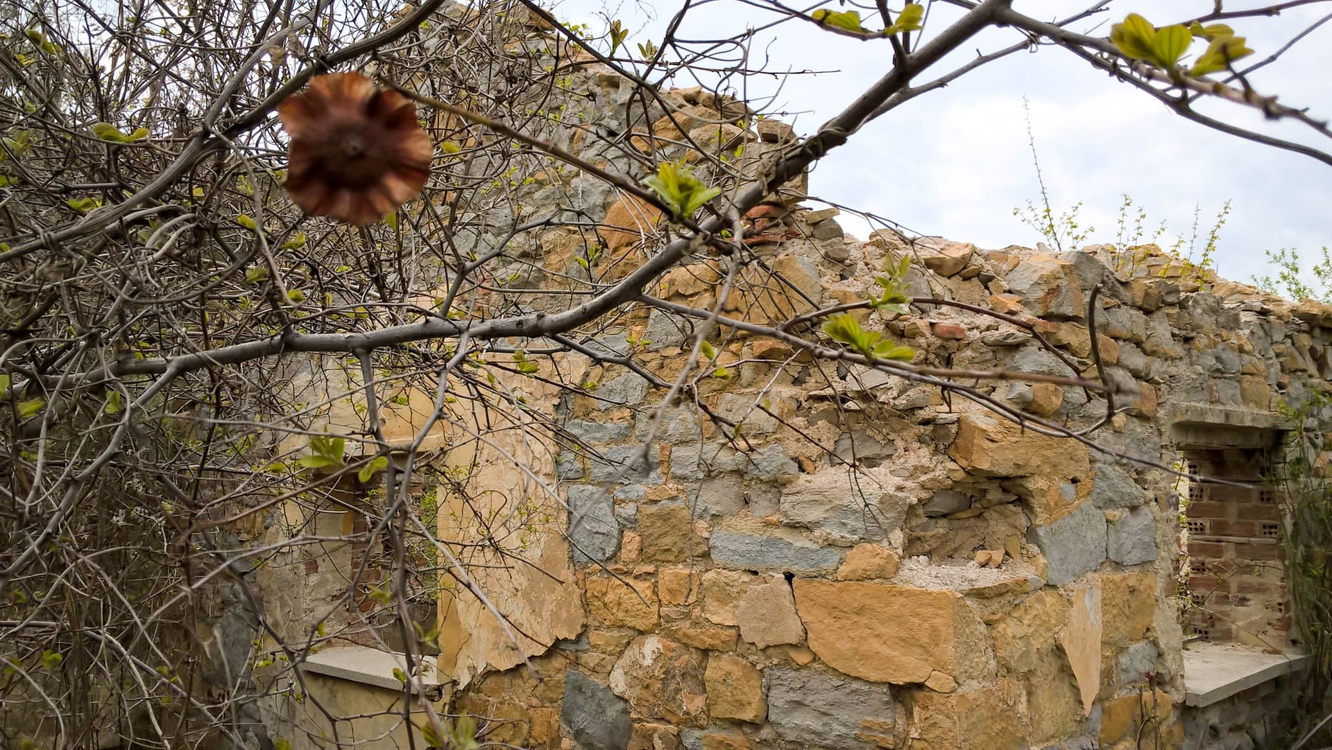 Κοντινή εκδρομή στον Άβαντα και στους Αγίους Θεοδώρους