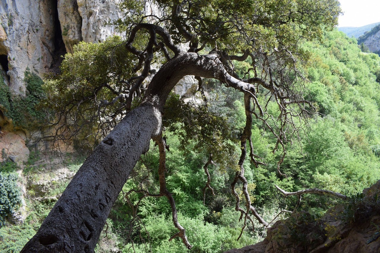 Κοντινή εκδρομή στον Άβαντα και στους Αγίους Θεοδώρους