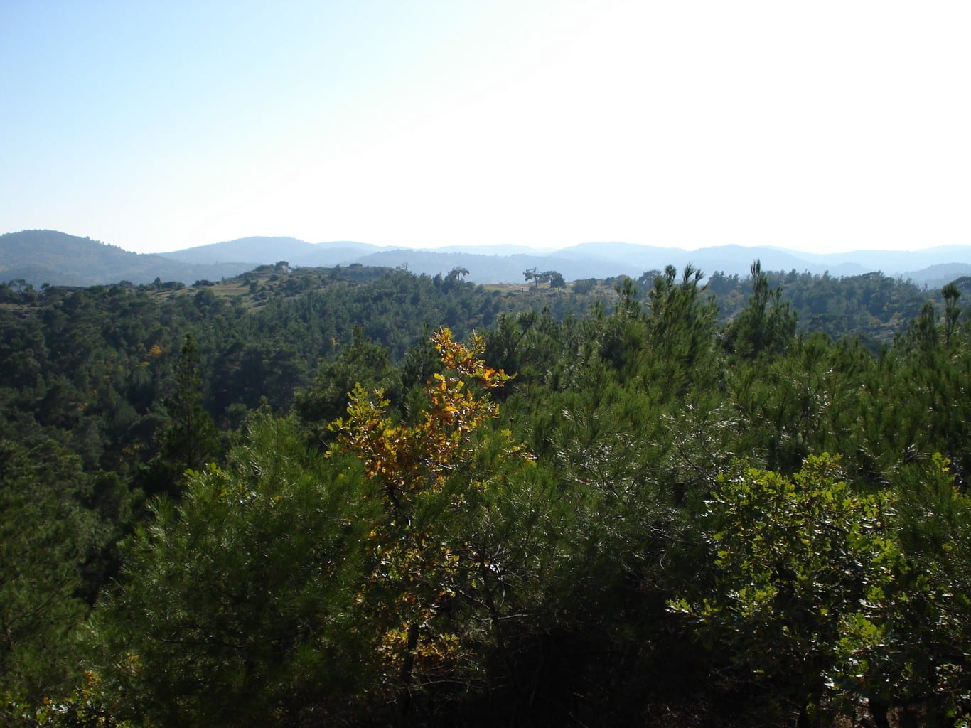Εθνικό Πάρκο Δάσους Δαδιάς