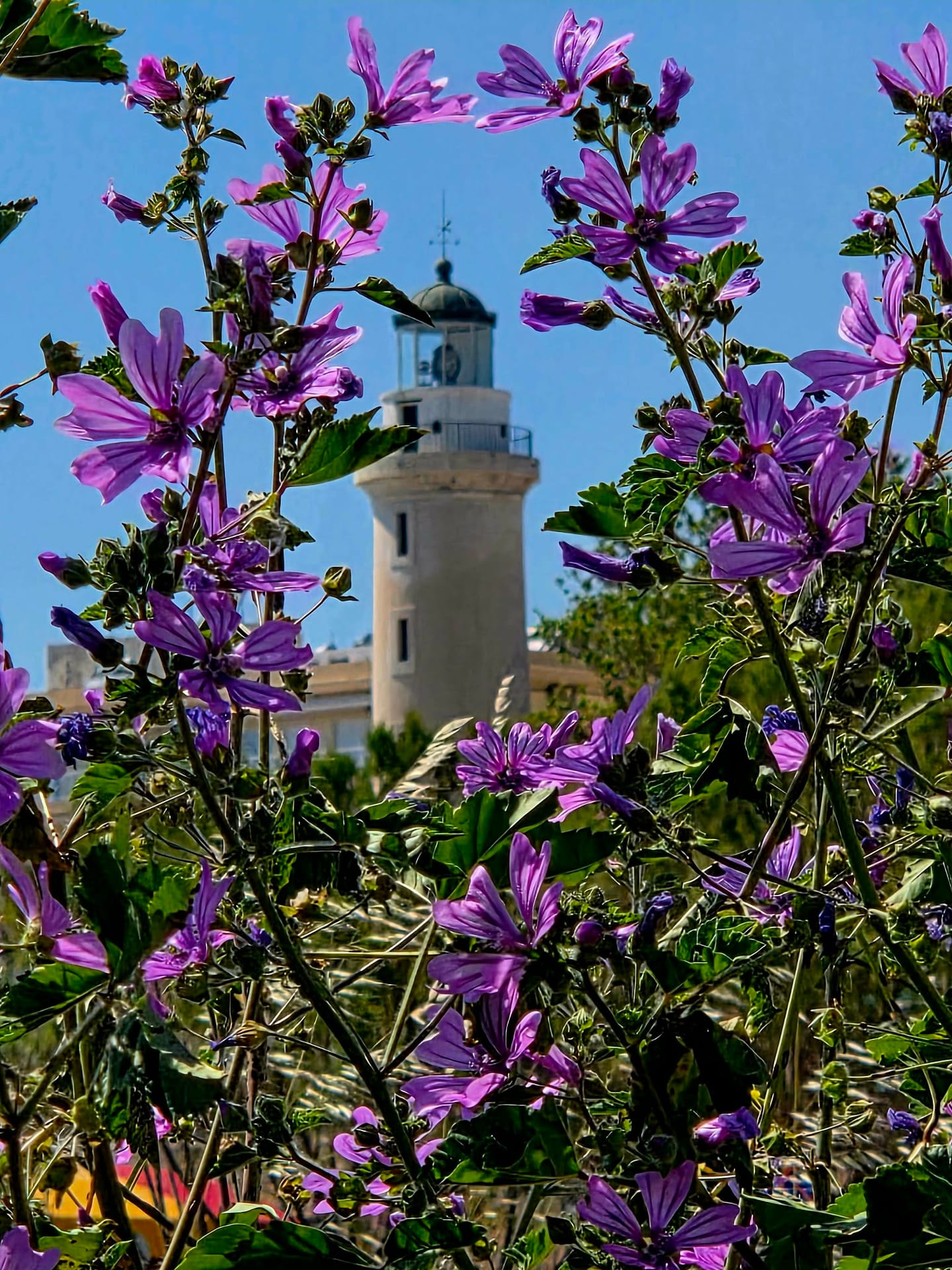 The Alexandroupoli Lighthouse