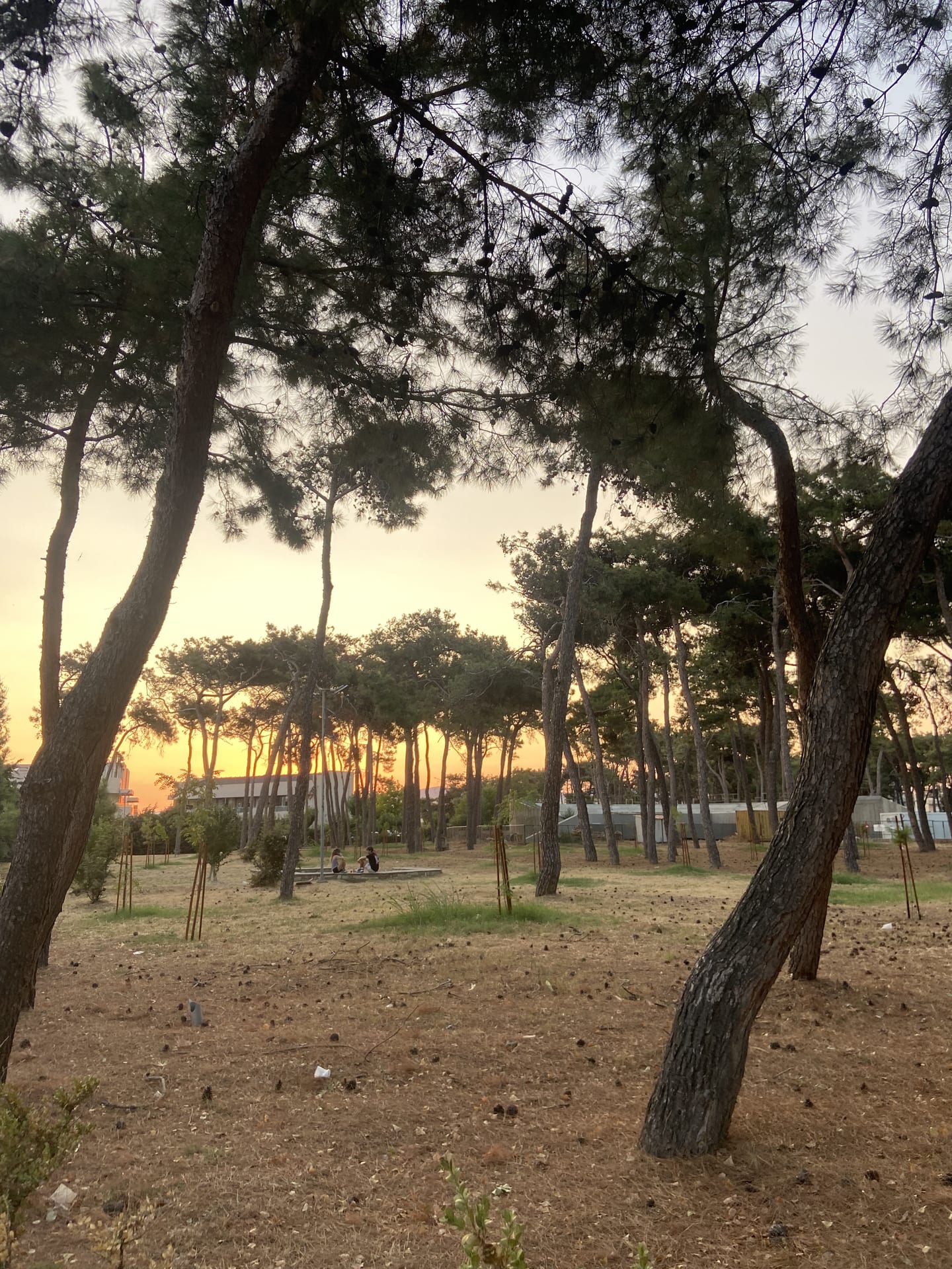 Πάρκο Προσκόπων Αλεξανδρούπολης