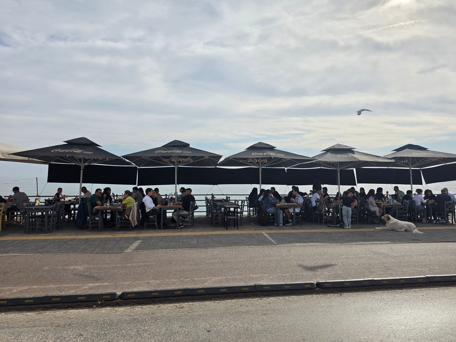 Ελλ'οίνων Γεύσεις