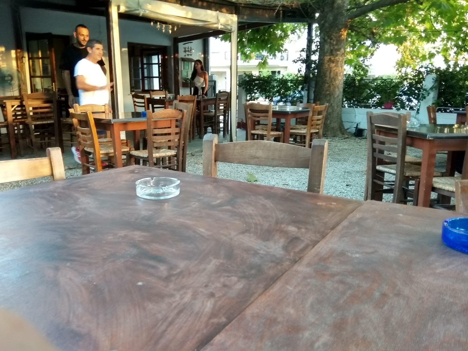 Λεύκες