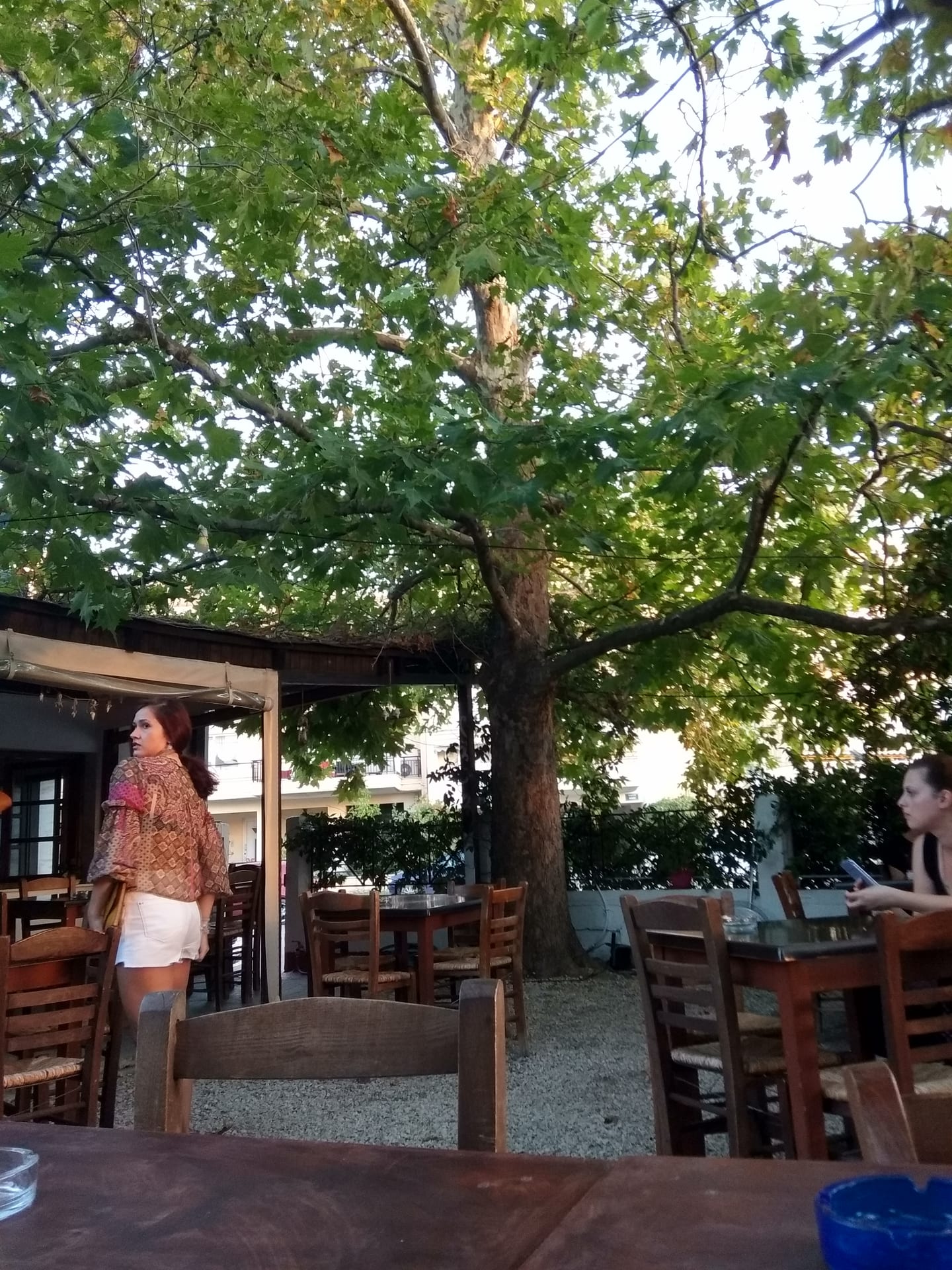 Λεύκες