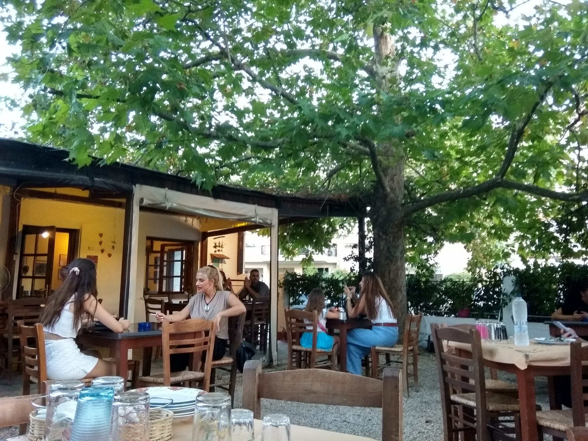 Λεύκες
