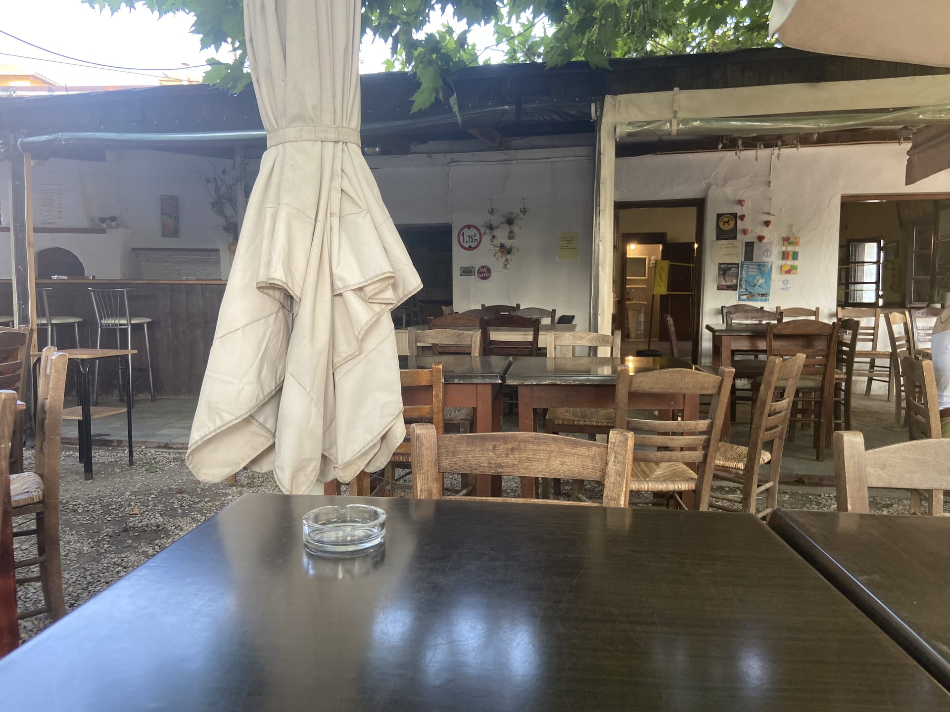 Λεύκες