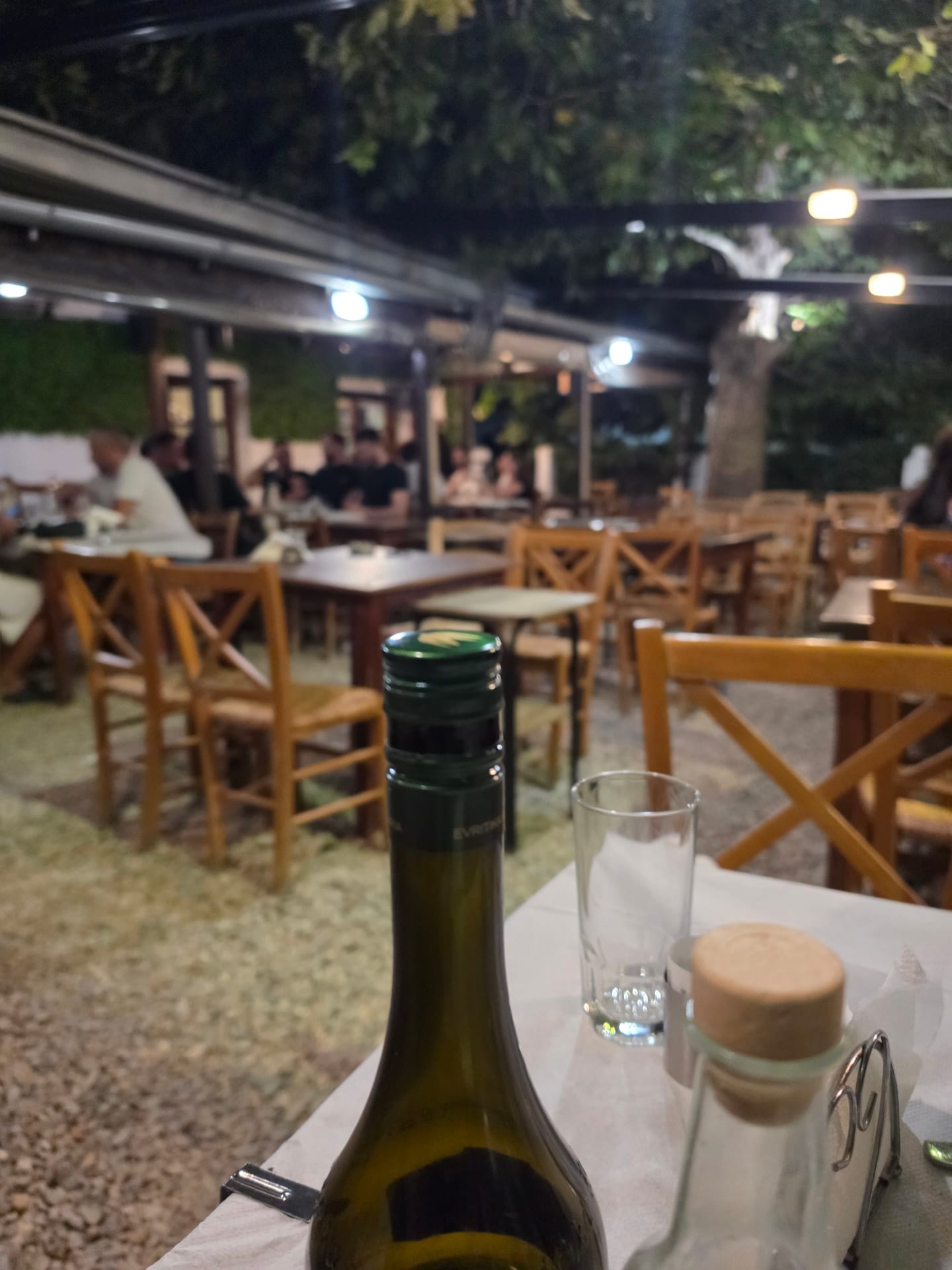 Λεύκες