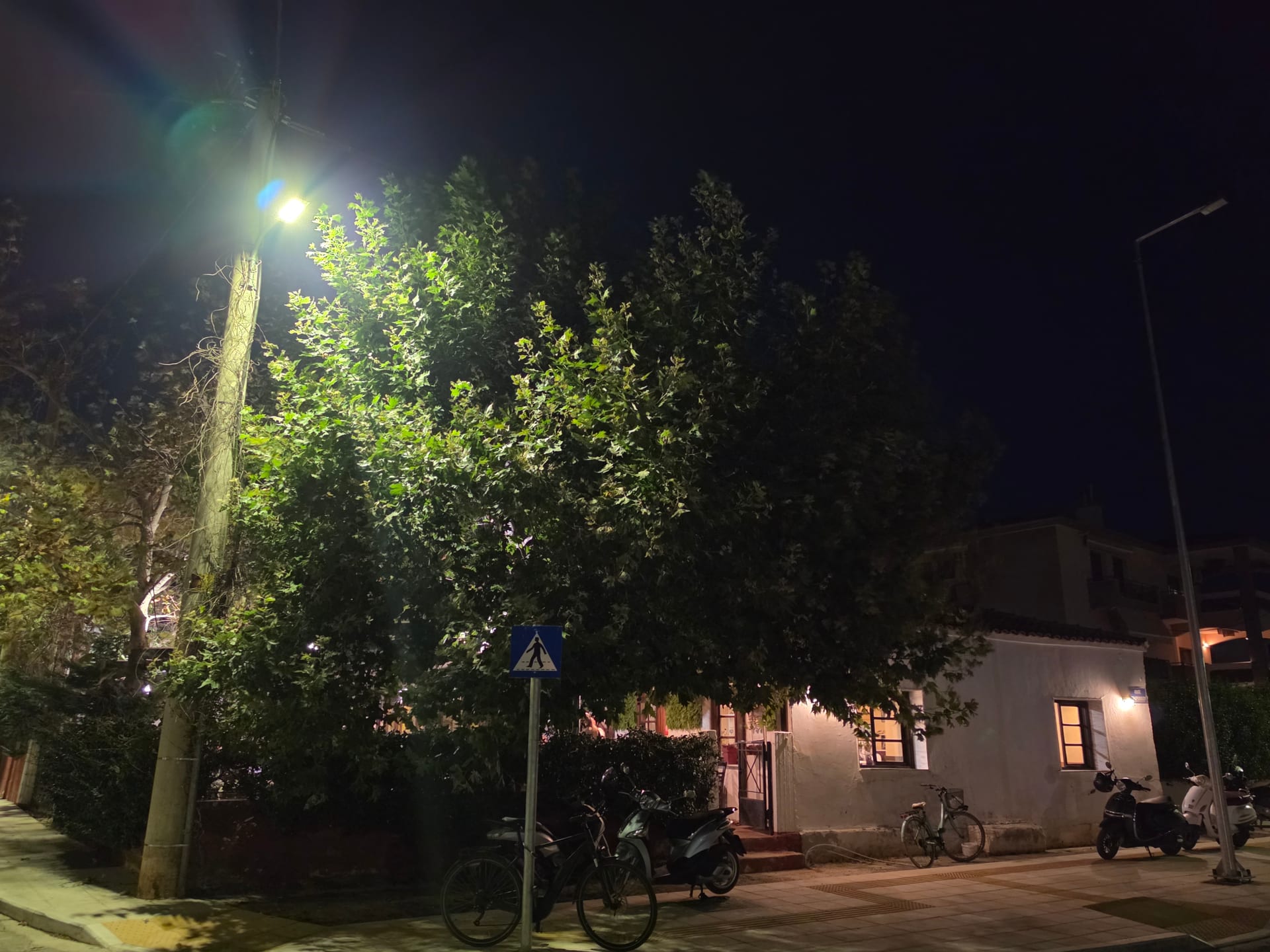 Λεύκες