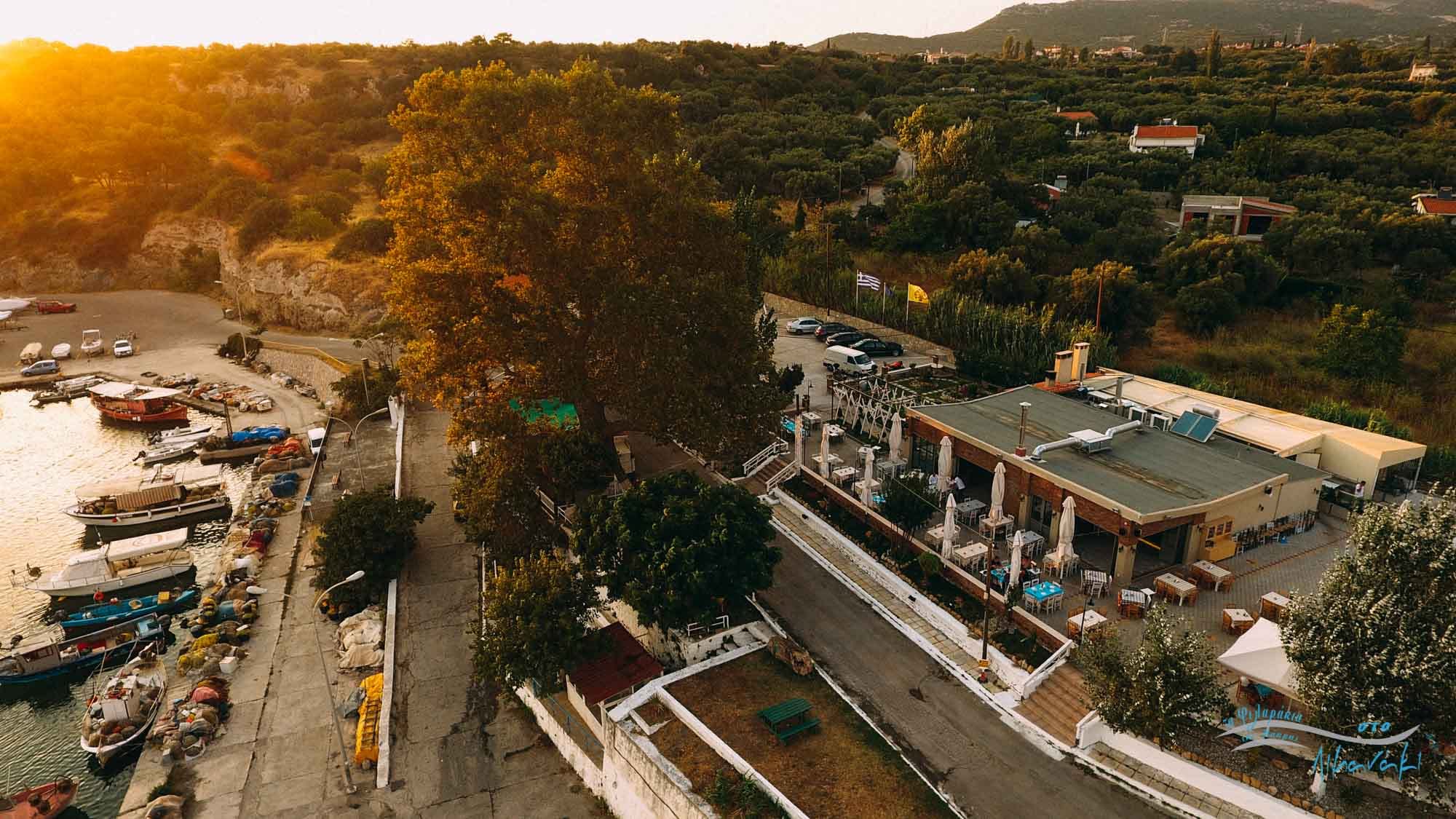Τα Φιλαράκια της Μάκρης στο Λιμανάκι